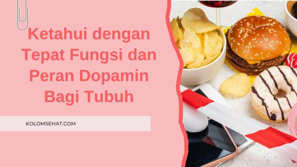 Fungsi dan Peran Dopamin Bagi Tubuh